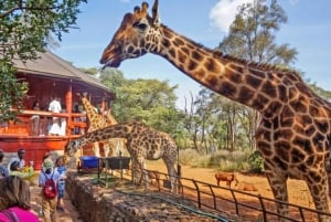 Parque Nacional de Nairobi, orfanato, tour de jirafas y abalorios