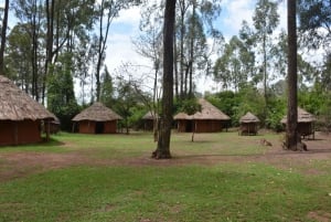 Parque Nacional de Nairobi, orfanato, tour de jirafas y abalorios