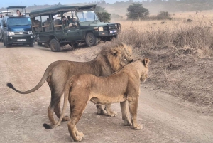 Nairobi National Park, Giraffe Center, Orpanage & Bomas Trip