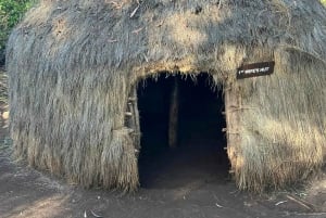 Nairobi National Park, Giraffe Center, Orpanage & Bomas Trip
