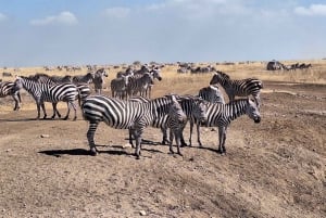 Parc national de Nairobi, Centre des girafes, Orpanage et Bomas.
