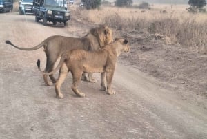 Viaje al Parque Nacional de Nairobi, Centro de Jirafas, Orpanage y Bomas