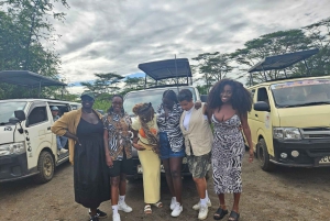 Parco Nazionale di Nairobi, Centro Giraffe, Orfanotrofio e Karen Blixxen