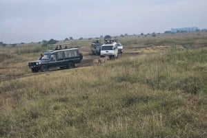 Parco Nazionale di Nairobi, Centro Giraffe, Orfanotrofio e Karen Blixxen