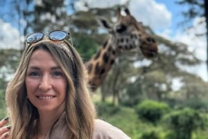 Nairobi: National Park, Giraffe Center, & Rooftop Tour