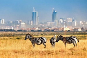 Nairobi: Nationalpark, Giraffenzentrum & Dachterrassentour