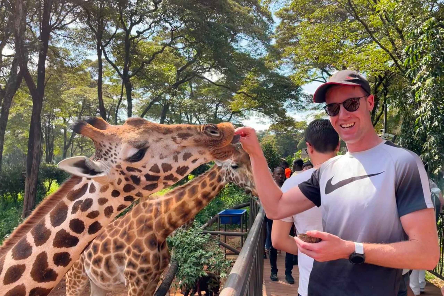 Nairobi: Nationalpark, Giraffencenter & Souvenir-Tour
