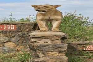 National Park, Elephant Orphanage & Giraffe Center