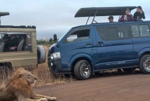 Nairobi: Halvdags guidad tur i nationalparken