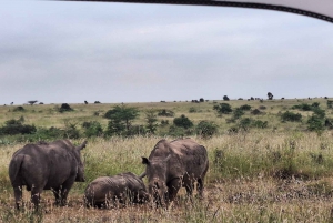 Nairobi National Park Guided Tour Group Joining Free Pick up