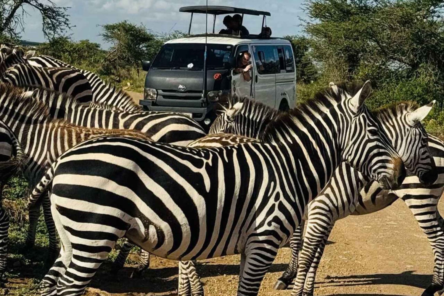 Guidet tur i Nairobi nasjonalpark med gratis henting på hotellet