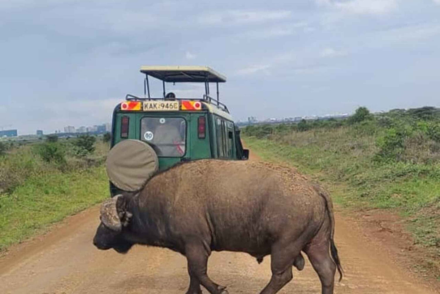 Guidet tur i Nairobi nasjonalpark med gratis henting på hotellet