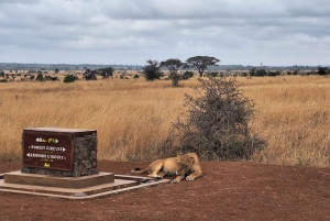 Nairobi National Park Half-Day Game Drive With Free Pick Up
