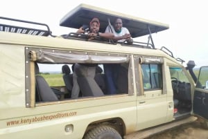 Fra Nairobi: Guidet halvdagstur til Nairobi Nationalpark