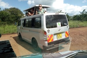 Nairobin kansallispuisto Puolipäiväinen riista-ajo