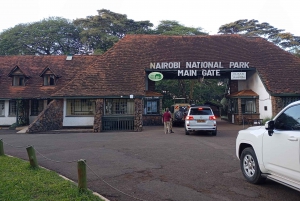 Halvdagstur i Nairobi Nationalpark