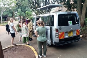Nairobi National Park Half-Day Game Drive