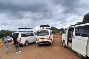 Park Narodowy Nairobi: półdniowa wycieczka grupowa z odbiorem z hotelu