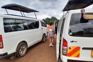 Park Narodowy Nairobi: półdniowa wycieczka grupowa z odbiorem z hotelu