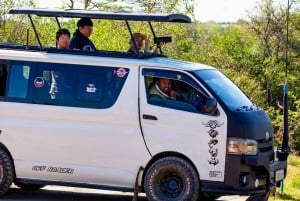 Nairobi National Park Halbtägige geführte Pirschfahrt mit Abholung