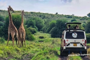 Nairobi National Park Halbtägige geführte Pirschfahrt mit Abholung