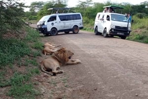 Nairobi National Park Halbtägige geführte Pirschfahrt mit Abholung