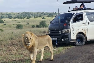 Nairobi National Park Halbtägige geführte Pirschfahrt mit Abholung