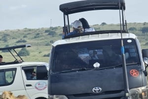 Nairobi National Park Halbtägige geführte Pirschfahrt mit Abholung