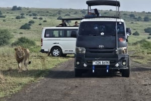 Nairobi National Park Halbtägige geführte Pirschfahrt mit Abholung