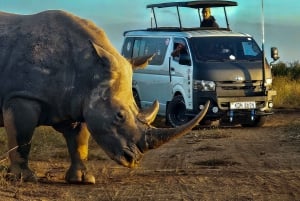 Nairobi National Park Halbtägige geführte Pirschfahrt mit Abholung