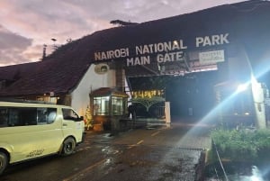 5 timmars safari i Nairobi National Park på morgonen/kvällen i 4x4-minibuss