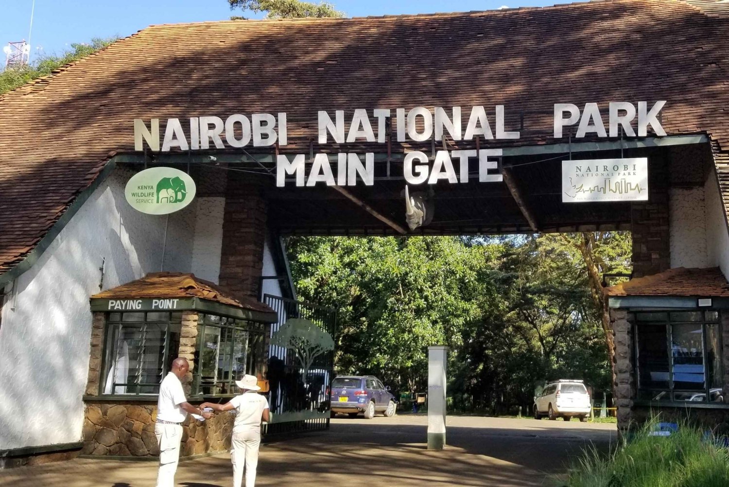 Nairobi stad: Nairobi nationalpark halvdagsutflykt privat tur