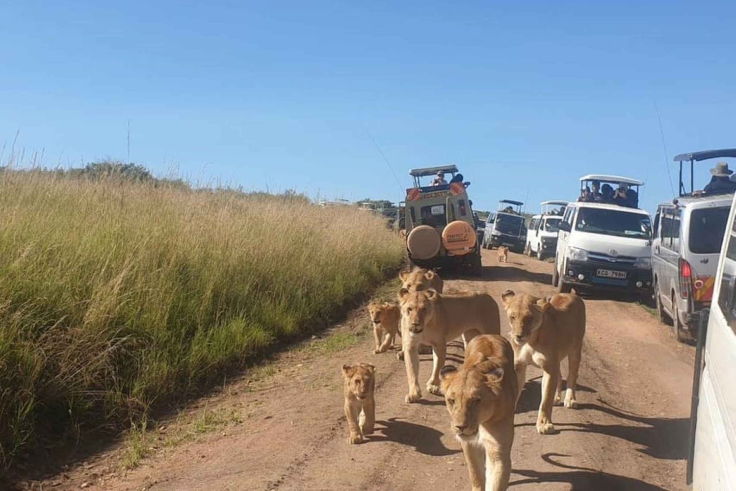 Halvdagstur i Nairobi nasjonalpark &Kazuri perlefabrikk