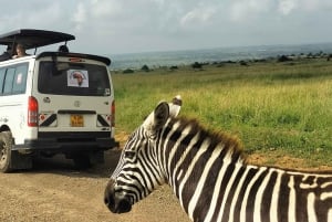 Nairobi National Park Halbtägige geführte Pirschfahrt mit Abholung