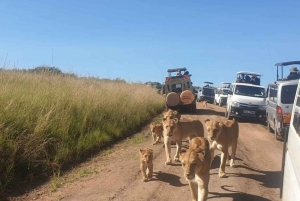 Halvdagstur i Nairobi nasjonalpark &Kazuri perlefabrikk