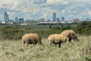 Halvdagstur i Nairobi nasjonalpark &Kazuri perlefabrikk