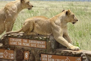 Halvdagstur i Nairobi nasjonalpark &Kazuri perlefabrikk