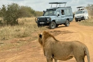 Halvdagstur til Nairobi National Park med afhentning på hotel