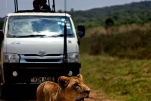Nairobi : visite d'une demi-journée au parc national