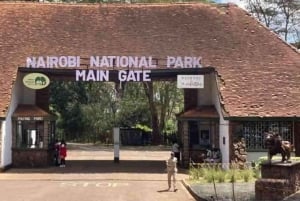 Nairobi : visite d'une demi-journée au parc national