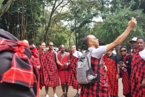 Nairobi : visite d'une demi-journée au parc national