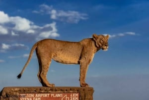 Nairobi : visite d'une demi-journée au parc national