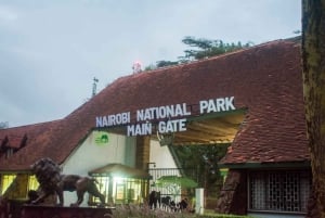 Nairobi : visite d'une demi-journée au parc national