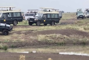 Nairobi : visite d'une demi-journée au parc national