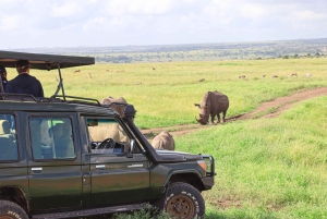 Nairobi nationalpark: Layover-tur i ett 4X4 safarifordon