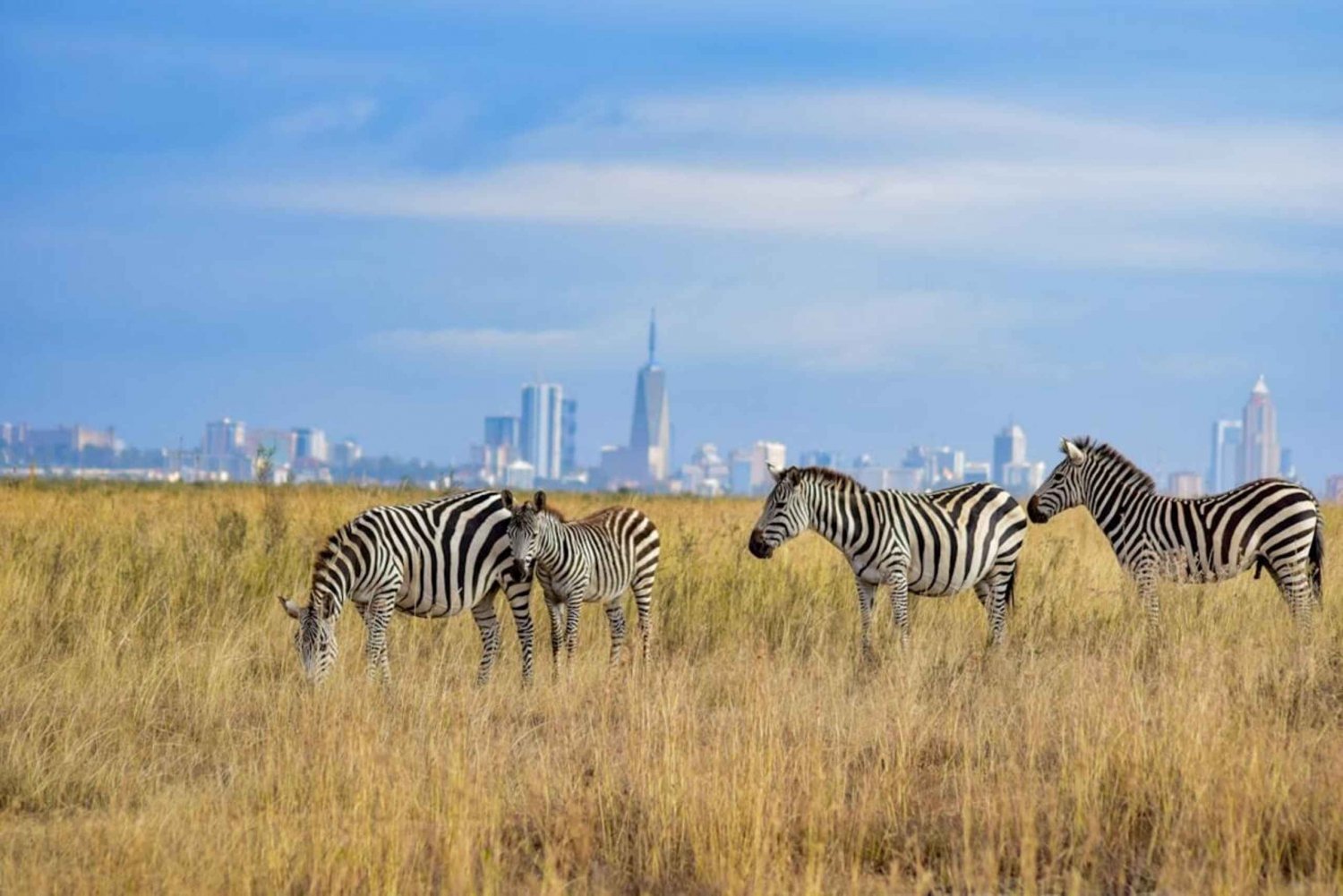 Nairobi: National Park Layover Tour med flygtransfer.