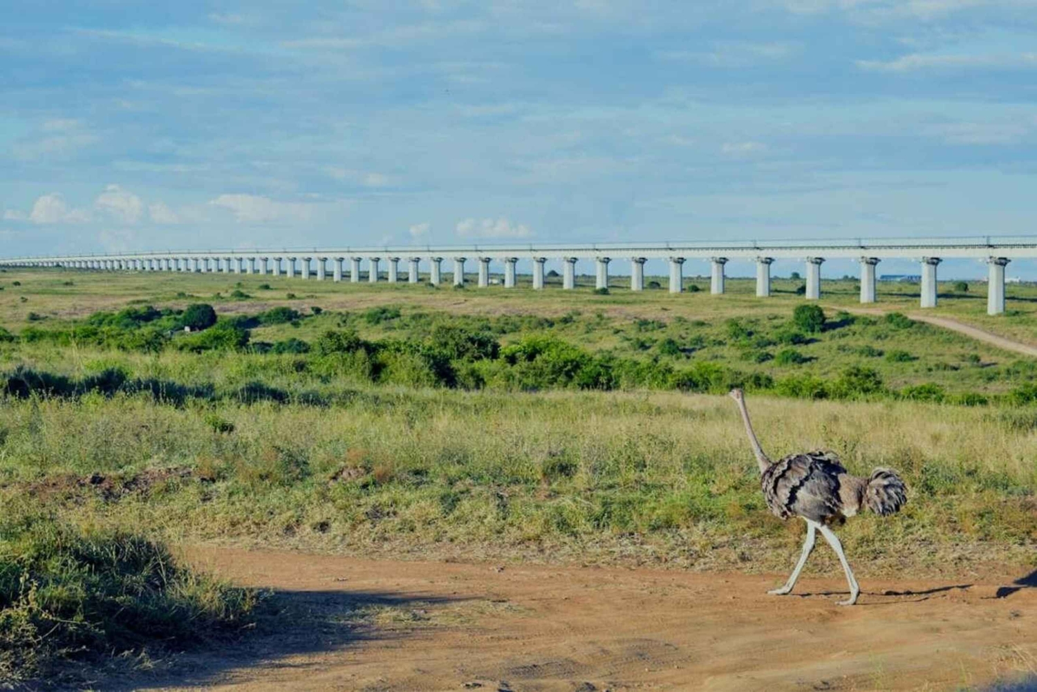 Nairobi: Recorrido por el Parque Nacional con traslados al aeropuerto.