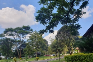 Nairobi: Recorrido por el Parque Nacional con traslados al aeropuerto.