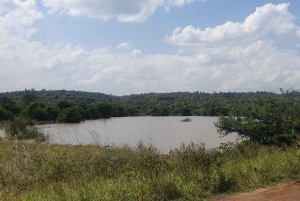 Nairobi: Recorrido por el Parque Nacional con traslados al aeropuerto.