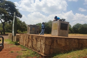 Nairobi: Recorrido por el Parque Nacional con traslados al aeropuerto.